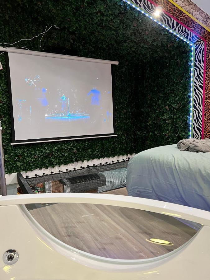 Capsule Safari - Jacuzzi - Nintendo Switch - Netflix & Cinema - Pouf Geant - Filet Suspendu Apartment Douai